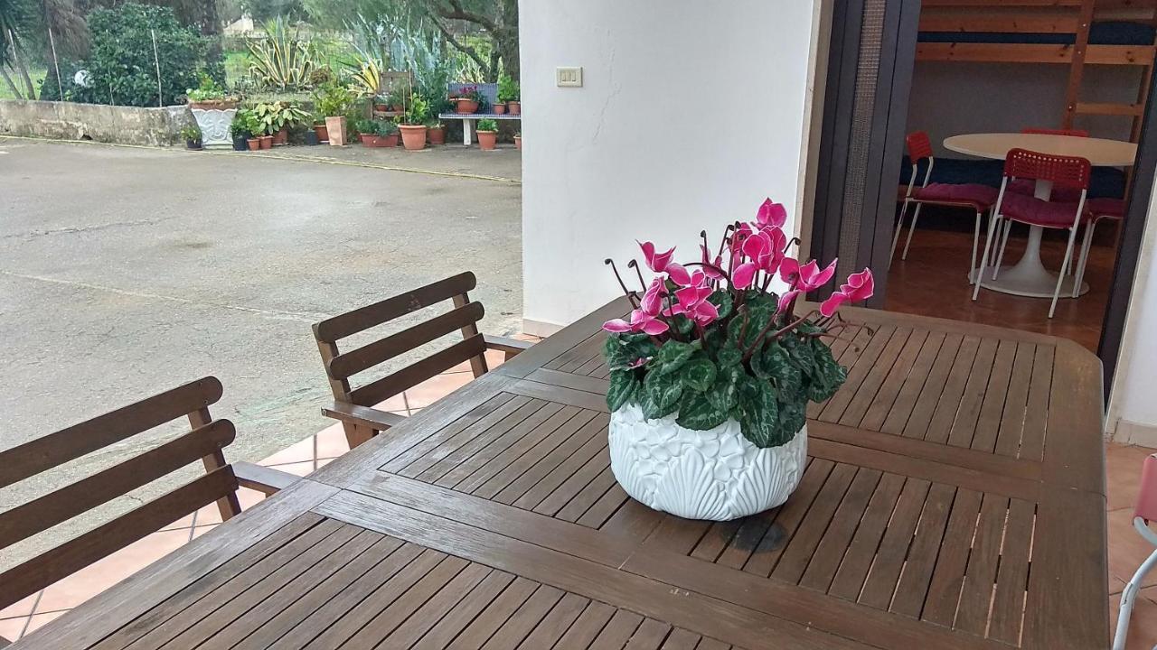 Fenicepugliese San Vito dei Normanni Ngoại thất bức ảnh